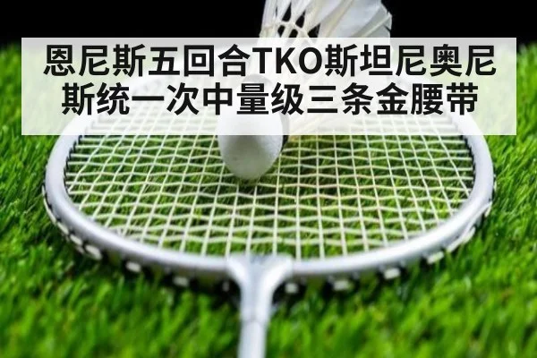恩尼斯五回合TKO斯坦尼奥尼斯统一次中量级三条金腰带